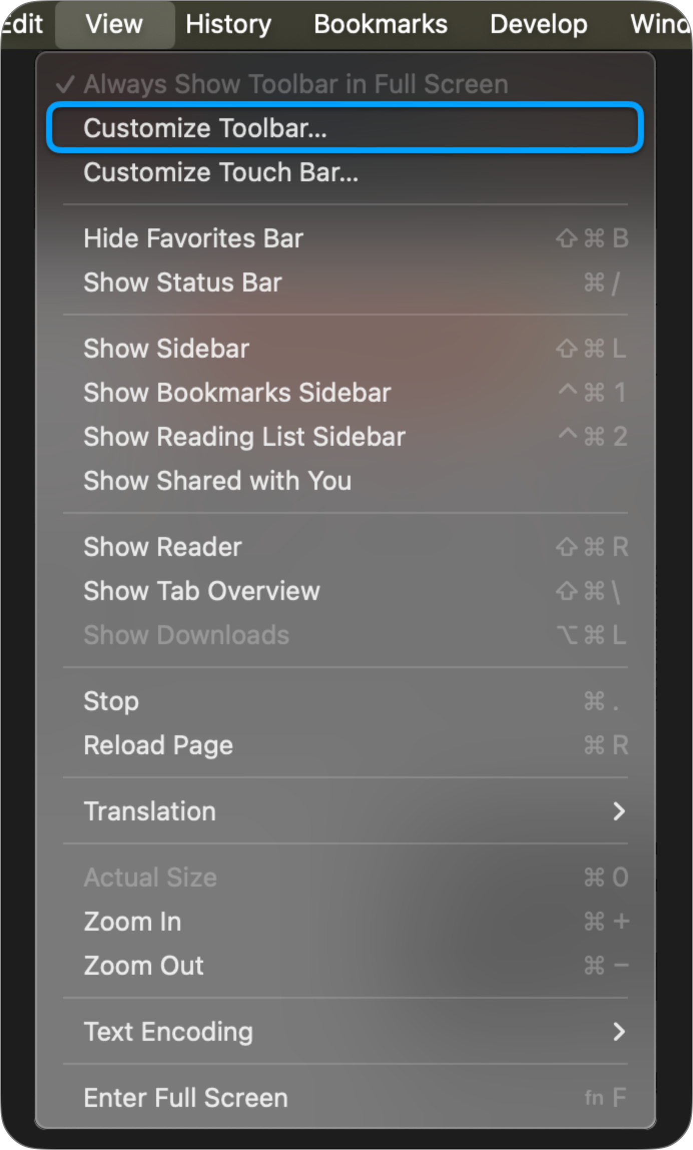 Safari View Menu > Customize Toolbar