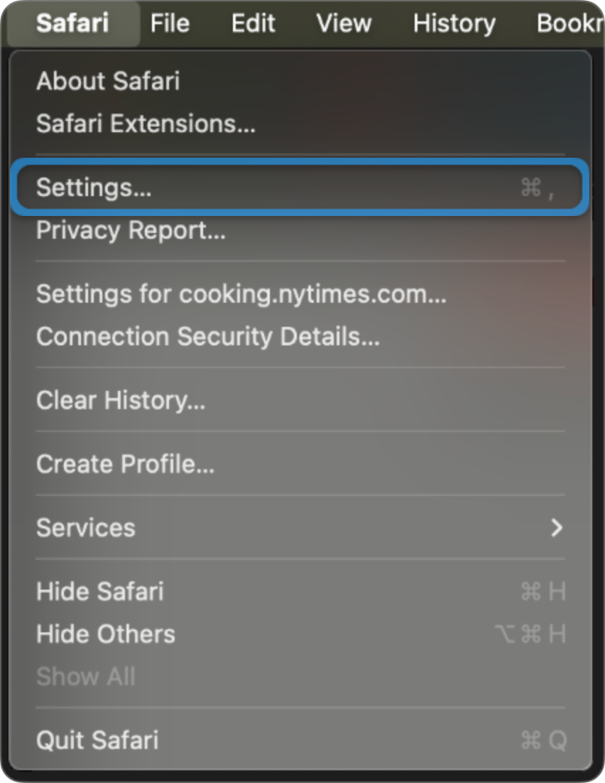 Safari Menu Settings